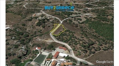 (For Sale) Land Plot || Rethymno/Foinikas - 920 Sq.m, 50.000€ ||| ID :1293678-6