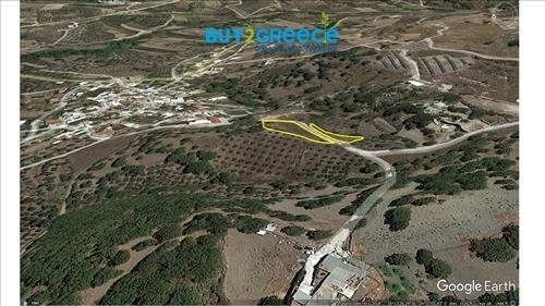 (For Sale) Land Plot || Rethymno/Foinikas - 920 Sq.m, 50.000€ ||| ID :1293678-8