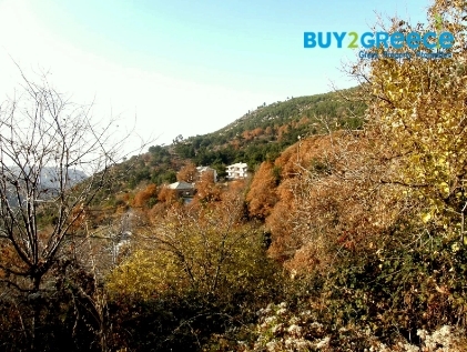 (For Sale) Land Plot for development || Kavala/Thasos - 520 Sq.m, 65.000€ ||| ID :1305605