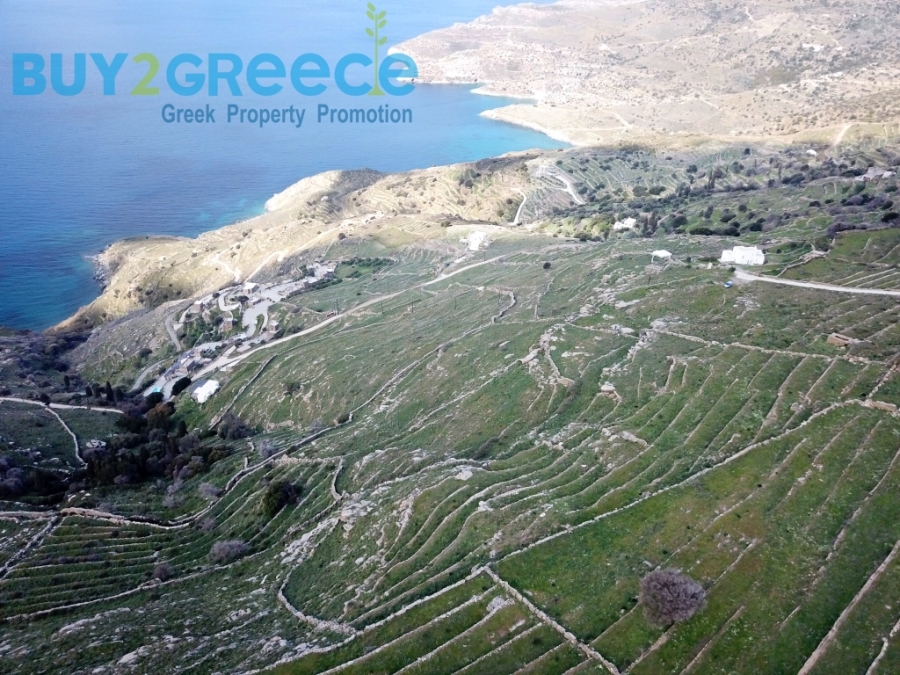 (For Sale) Land Plot out of City plans || Cyclades/Andros-Korthio - 7.700 Sq.m, 115.000€ ||| ID :1308092