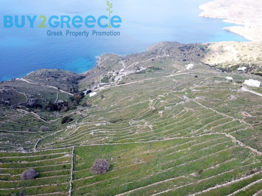 (For Sale) Land Plot out of City plans || Cyclades/Andros-Korthio - 7.700 Sq.m, 115.000€ ||| ID :1308092-2