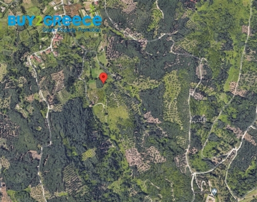 (For Sale) Land Plot out of City plans || Corfu (Kerkira)/Esperies - 4.213 Sq.m, 38.000€ ||| ID :1309141-2