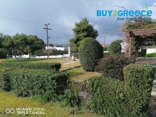 (For Sale) Residential Detached house || Evoia/Eretreia - 200 Sq.m, 5 Bedrooms, 365.000€ ||| ID :1309853-10