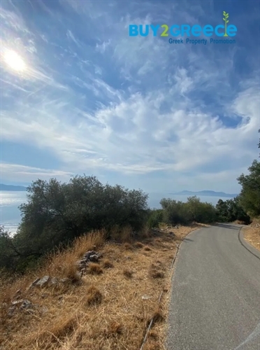 (For Sale) Land Plot || Corfu (Kerkira)/Kassiopi - 5.913 Sq.m, 270.000€ ||| ID :1310791-3