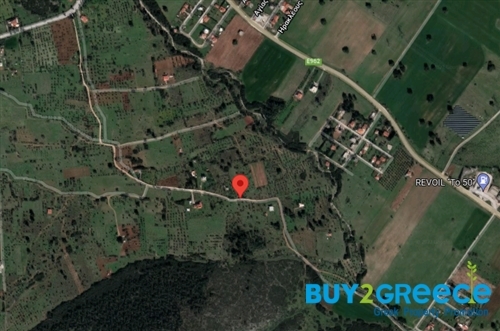 (For Sale) Land Agricultural Land  ||  West Attica/Vilia - 4.465 Sq.m, 58.000€ ||| ID :1314617-9