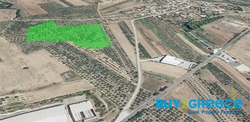 (For Sale) Land Plot out of City plans || Fthiotida/Stylida - 44.000 Sq.m, 180.000€ ||| ID :1318218-6