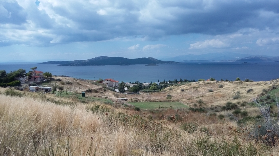(For Sale) Land Agricultural Land  || Evoia/Styra - 5.000 Sq.m, 250.000€ ||| ID :1324042