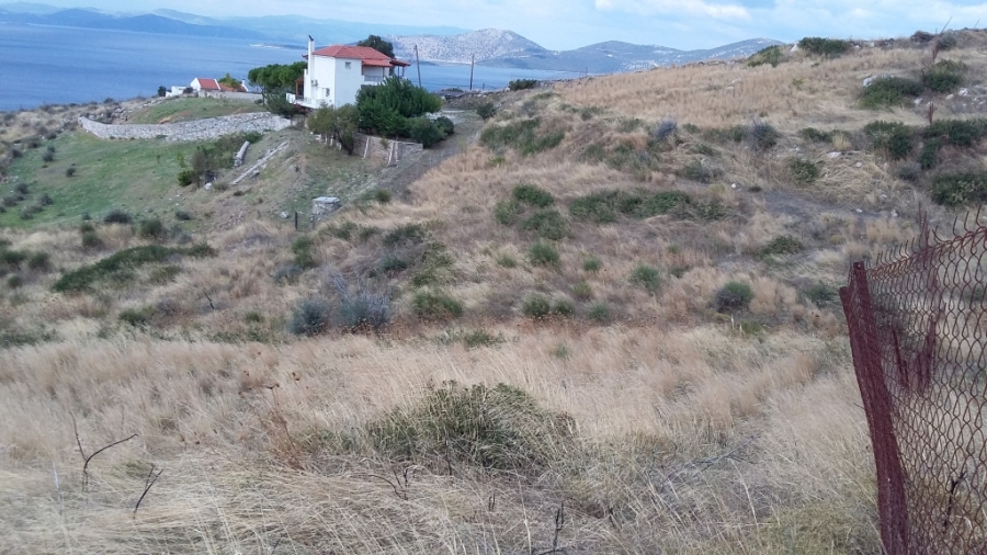 (For Sale) Land Agricultural Land  || Evoia/Styra - 5.000 Sq.m, 250.000€ ||| ID :1324042-2