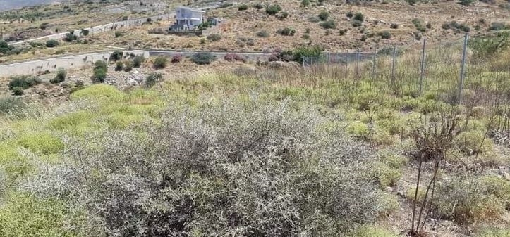 (For Sale) Land Plot || Evoia/Karystos - 500 Sq.m, 50.000€ ||| ID :1325131-2