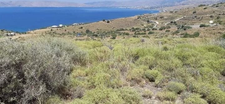 (For Sale) Land Plot || Evoia/Karystos - 500 Sq.m, 50.000€ ||| ID :1325131-3