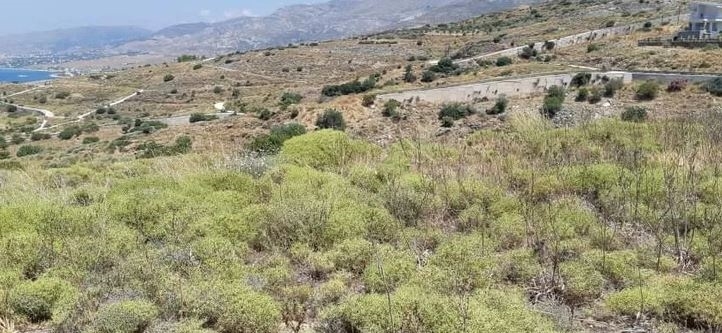 (For Sale) Land Plot || Evoia/Karystos - 500 Sq.m, 50.000€ ||| ID :1325131-4