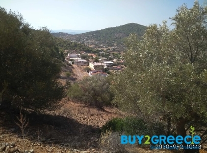 (For Sale) Land Plot for development || Piraias/Salamina - 220 Sq.m, 22.000€ ||| ID :1331011-3