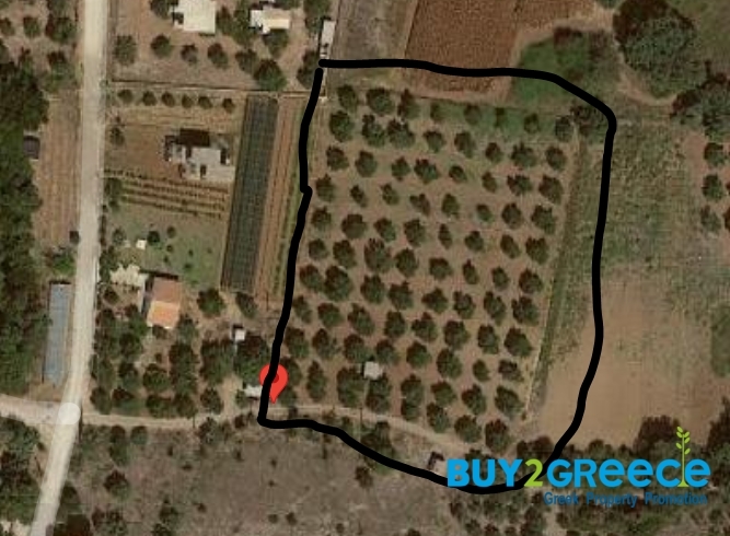 (For Sale) Land Plot || Ileias/Pyrgos - 5.340 Sq.m, 200.000€ ||| ID :1331422-3