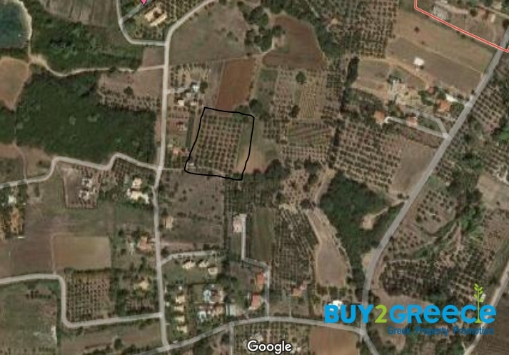 (For Sale) Land Plot || Ileias/Pyrgos - 5.340 Sq.m, 200.000€ ||| ID :1331422-4