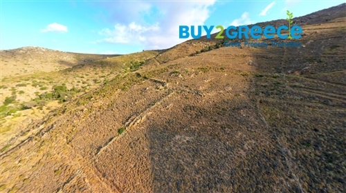 (For Sale) Land Plot || Cyclades/Andros Chora - 41.180 Sq.m, 650.000€ ||| ID :1333751-4