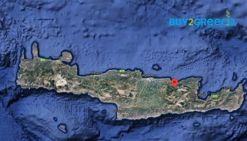(For Sale) Land Agricultural Land  || Irakleio/Chersonisos - 62.856 Sq.m, 950.000€ ||| ID :1341160-3
