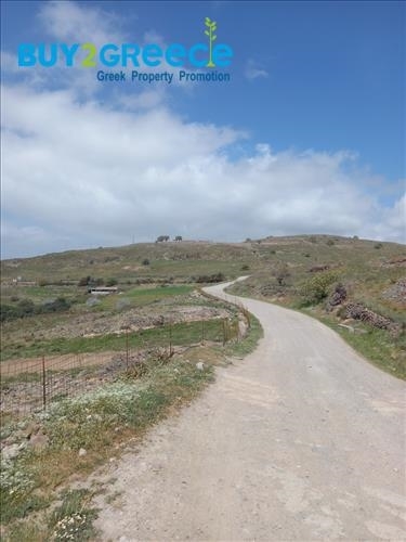 (For Sale) Land Plot || Lesvos/Mytilini - 72.000 Sq.m, 320.000€ ||| ID :1347995-13