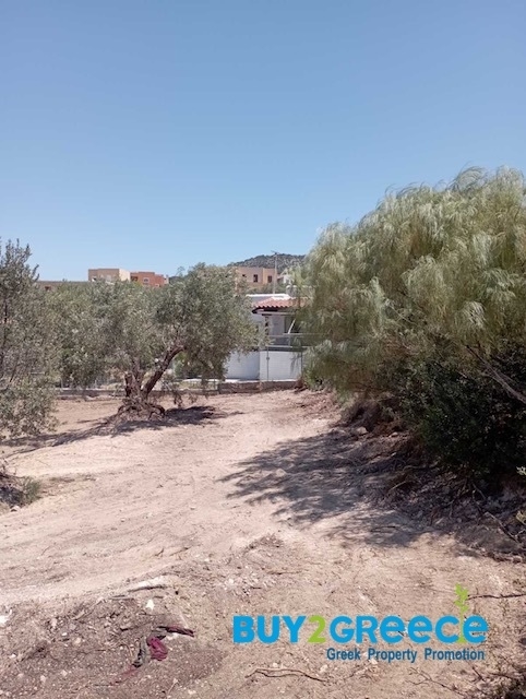 (For Sale) Land Plot wIthin Settlement || Piraias/Aigina - 1.466 Sq.m, 60.000€ ||| ID :1355436-10