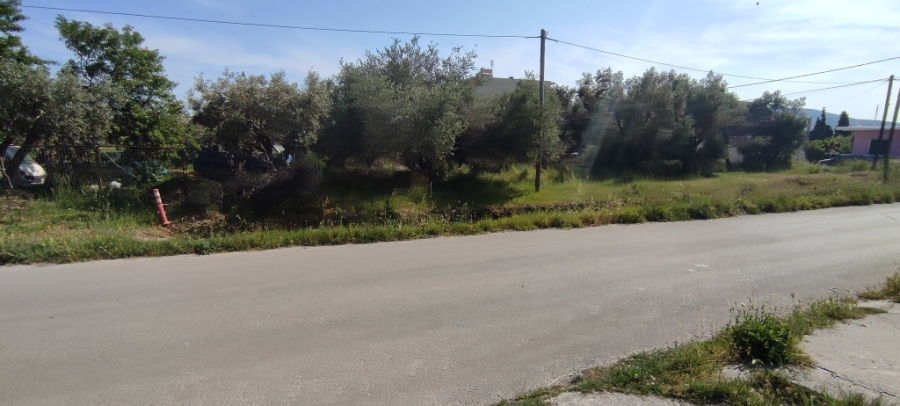 (For Sale) Land Plot || Evoia/Karystos - 303 Sq.m, 40.000€ ||| ID :1355639