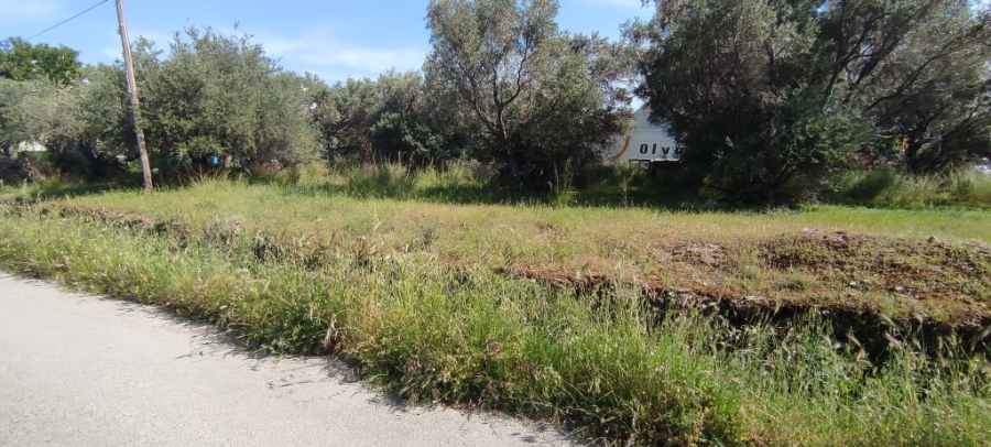 (For Sale) Land Plot || Evoia/Karystos - 303 Sq.m, 40.000€ ||| ID :1355639-3