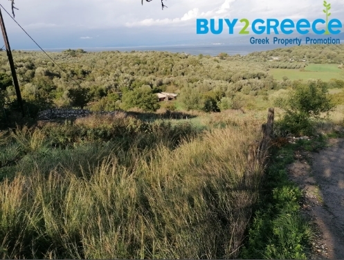 (For Sale) Land Agricultural Land  || Aitoloakarnania/Amfilochia - 700 Sq.m, 20.000€ ||| ID :1363288