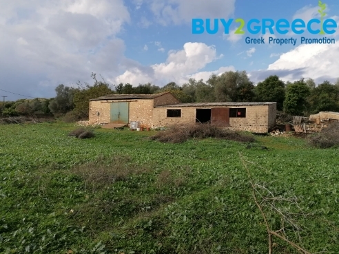 (For Sale) Land Agricultural Land  || Aitoloakarnania/Amfilochia - 700 Sq.m, 20.000€ ||| ID :1363288-2