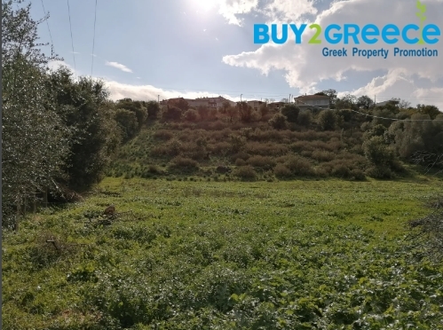 (For Sale) Land Agricultural Land  || Aitoloakarnania/Amfilochia - 700 Sq.m, 20.000€ ||| ID :1363288-3