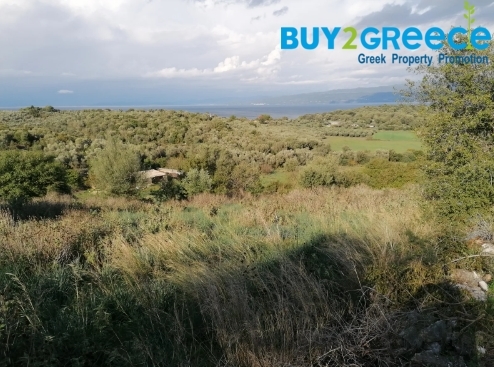 (For Sale) Land Agricultural Land  || Aitoloakarnania/Amfilochia - 700 Sq.m, 20.000€ ||| ID :1363288-4