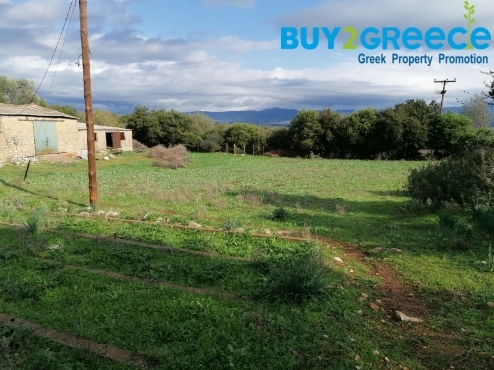 (For Sale) Land Agricultural Land  || Aitoloakarnania/Amfilochia - 700 Sq.m, 20.000€ ||| ID :1363288-6