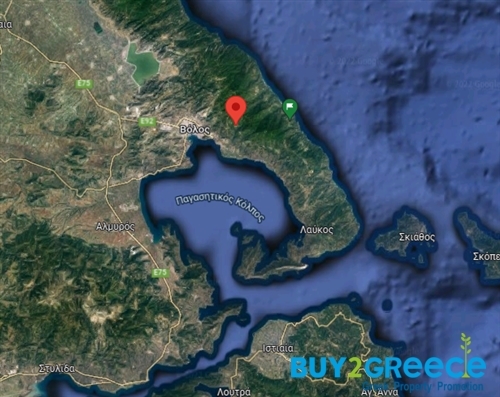 (For Sale) Land Plot wIthin Settlement || Magnisia/Volos - 2.642 Sq.m, 80.000€ ||| ID :1363728-4