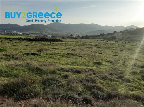 (For Sale) Land Plot || Cyclades/Antiparos - 16.926 Sq.m, 380.000€ ||| ID :1376526-2