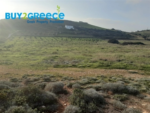 (For Sale) Land Plot || Cyclades/Antiparos - 16.926 Sq.m, 380.000€ ||| ID :1376526-3