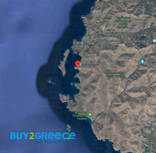 (For Sale) Land Plot || Lesvos/Eresos - 221 Sq.m, 110.000€ ||| ID :1377107-10