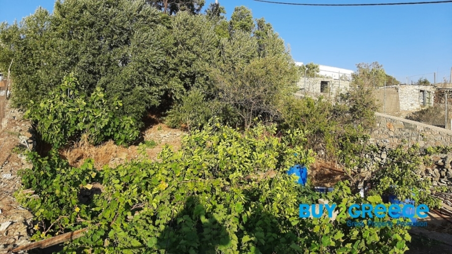 (For Sale) Land Plot || Dodekanisa/Agathonisi - 467 Sq.m, 85.000€ ||| ID :1384471-19