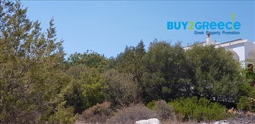 (For Sale) Land Plot || Korinthia/Solygeia - 1.019 Sq.m, 49.000€ ||| ID :1387730-5