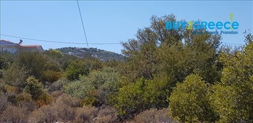 (For Sale) Land Plot || Korinthia/Solygeia - 1.019 Sq.m, 49.000€ ||| ID :1387730-6