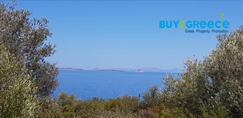 (For Sale) Land Plot || Korinthia/Solygeia - 1.019 Sq.m, 49.000€ ||| ID :1387730-7