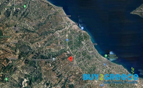 (For Sale) Land Agricultural Land  || Korinthia/Velo - 4.368 Sq.m, 45.000€ ||| ID :1388367-2