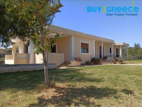 (For Sale) Residential Detached house || East Attica/Grammatiko - 220 Sq.m, 4 Bedrooms, 750.000€ ||| ID :1389103