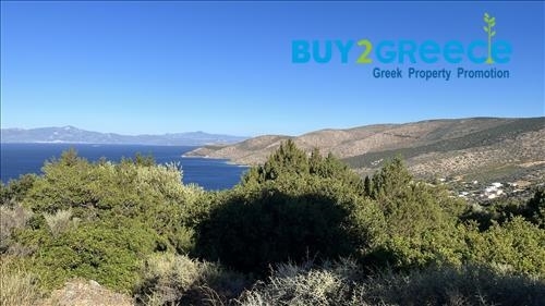 (For Sale) Land Agricultural Land  || Evoia/Styra - 15.500 Sq.m, 128.000€ ||| ID :1392854-4