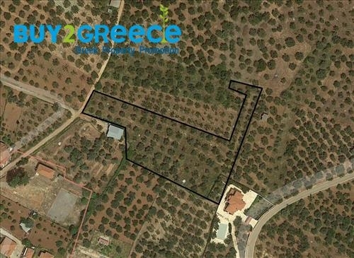 (For Sale) Land Plot || Messinia/Kyparissia - 5.100 Sq.m, 50.000€ ||| ID :1394270