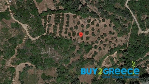 (For Sale) Land Plot || Piraias/Kythira - 7.443 Sq.m, 72.000€ ||| ID :1407834-2