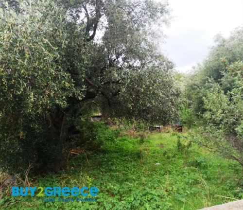 (For Sale) Land Plot || Kefalonia/Argostoli - 679 Sq.m, 60.000€ ||| ID :1415659-3