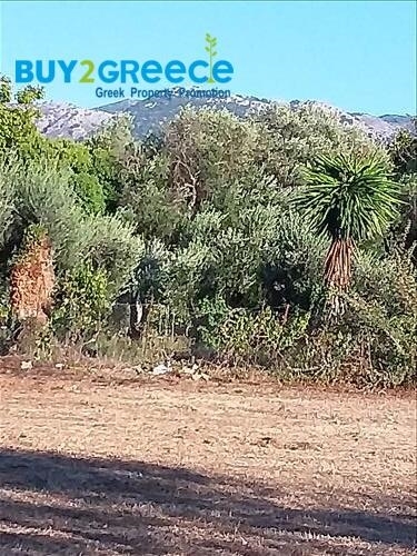 (For Sale) Land Plot || Corfu (Kerkira)/Thinalio - 2.049 Sq.m, 75.000€ ||| ID :1416913-4