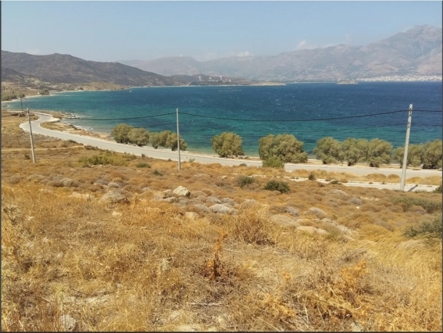 (For Sale) Land Plot || Evoia/Karystos - 685 Sq.m, 60.000€ ||| ID :1429465-2