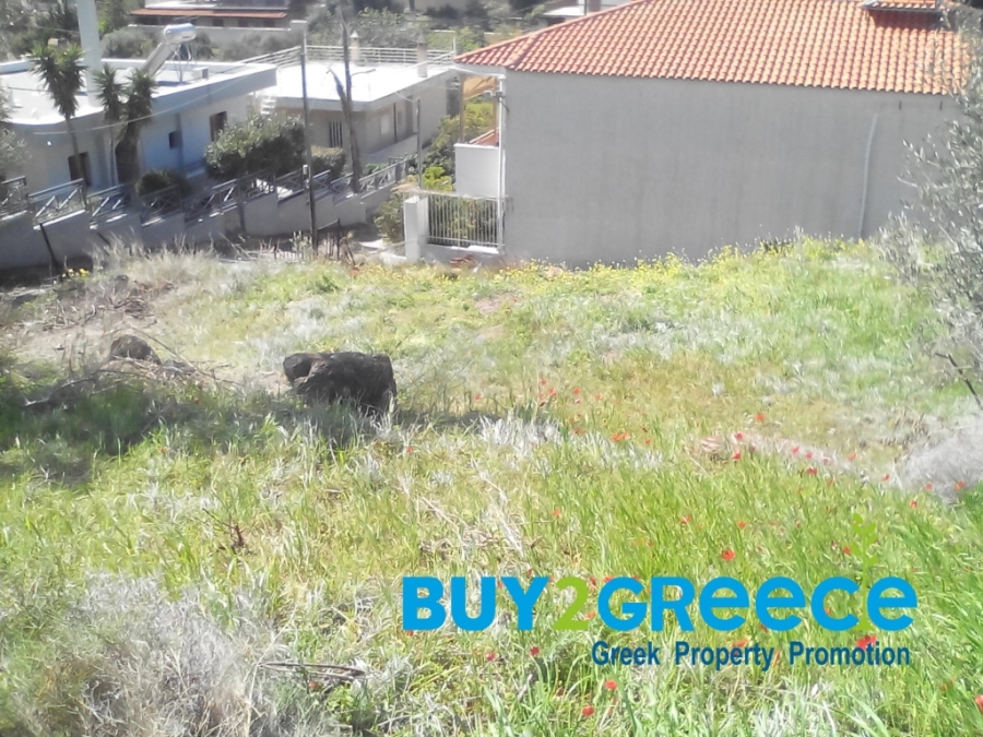 (For Sale) Land Plot out of City plans || East Attica/Kalyvia-Lagonisi - 860 Sq.m, 95.000€ ||| ID :1443009-3