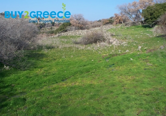 (For Sale) Land Large Land  || Lesvos/Mithymna - 20.200 Sq.m, 300.000€ ||| ID :1452427-3