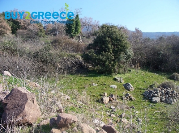 (For Sale) Land Large Land  || Lesvos/Mithymna - 20.200 Sq.m, 300.000€ ||| ID :1452427-4