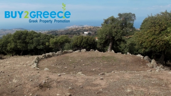 (For Sale) Land Large Land  || Lesvos/Mithymna - 20.200 Sq.m, 300.000€ ||| ID :1452427-5