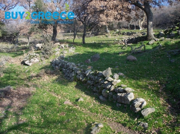 (For Sale) Land Large Land  || Lesvos/Mithymna - 20.200 Sq.m, 300.000€ ||| ID :1452427-6